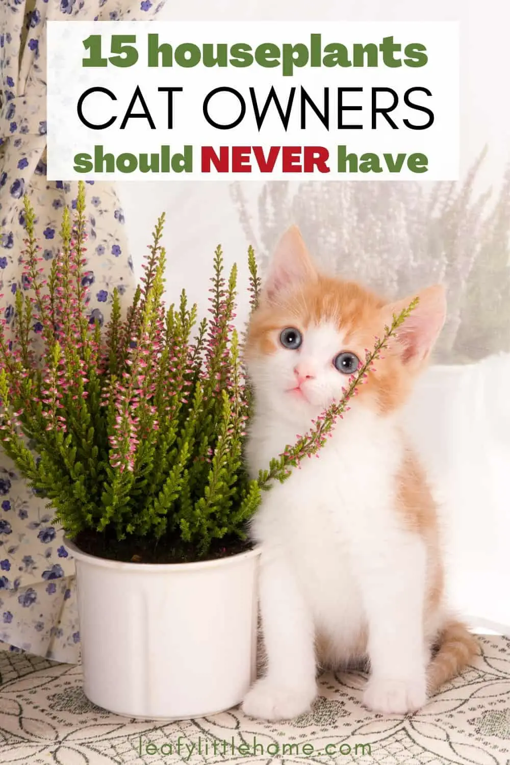 15 Houseplants That Are Toxic to Cats - The Leafy Little Home