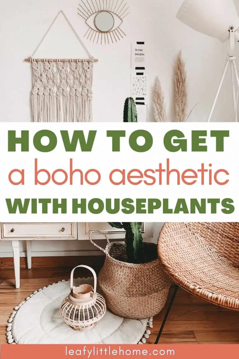 Create a Boho Aesthetic With Houseplants - The Leafy Little Home