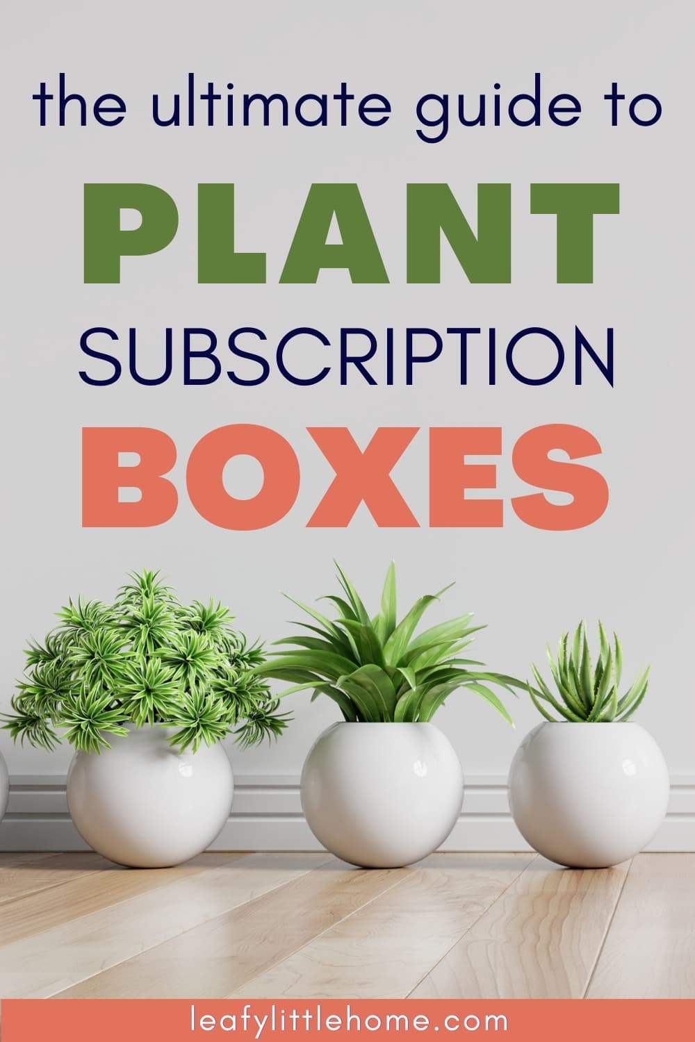 Best Plant Subscription Boxes for 2022 The Leafy Little Home