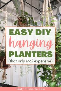 12 DIY Indoor Hanging Planters to Beautify Your Home - The Leafy Little ...