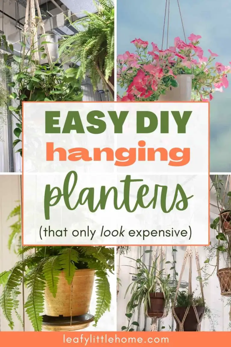 12 DIY Indoor Hanging Planters to Beautify Your Home - The Leafy Little ...