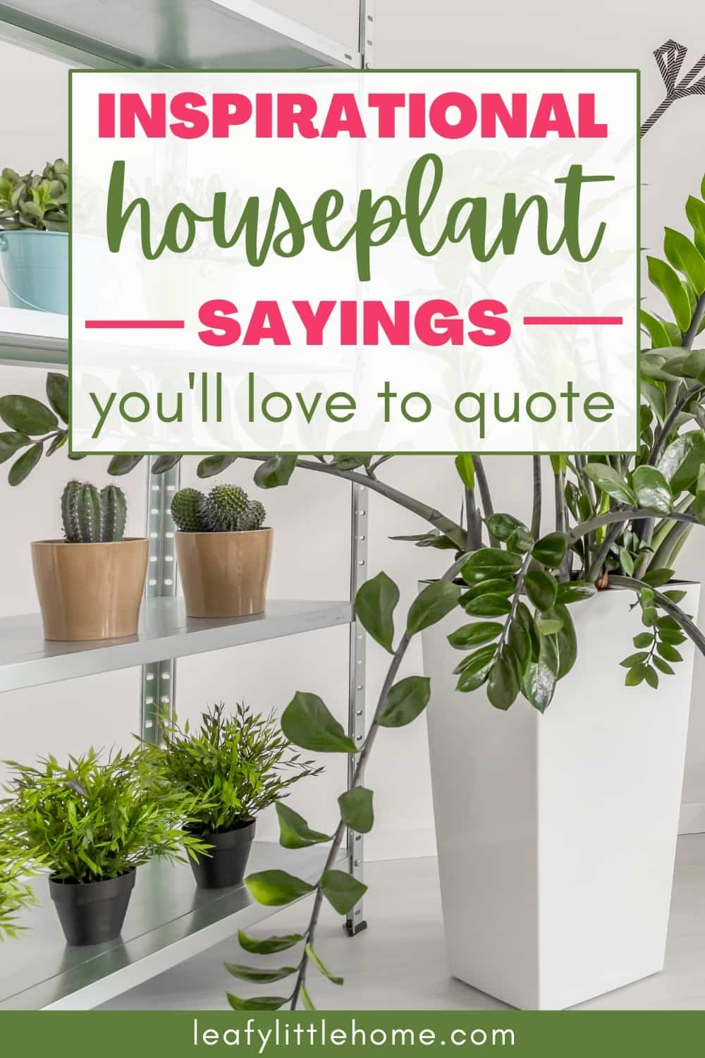 10 Inspirational Houseplant Quotes (With Photos) The Leafy Little Home