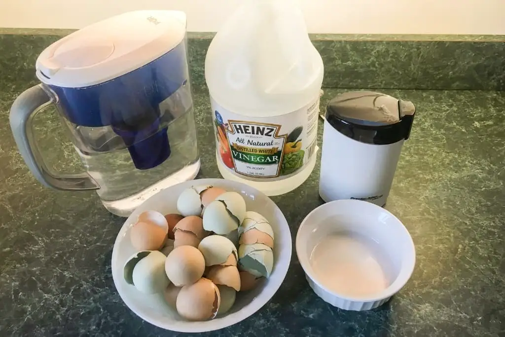 How to Make Water Soluble Calcium Eggshell Fertilizer - The Leafy Little  Home