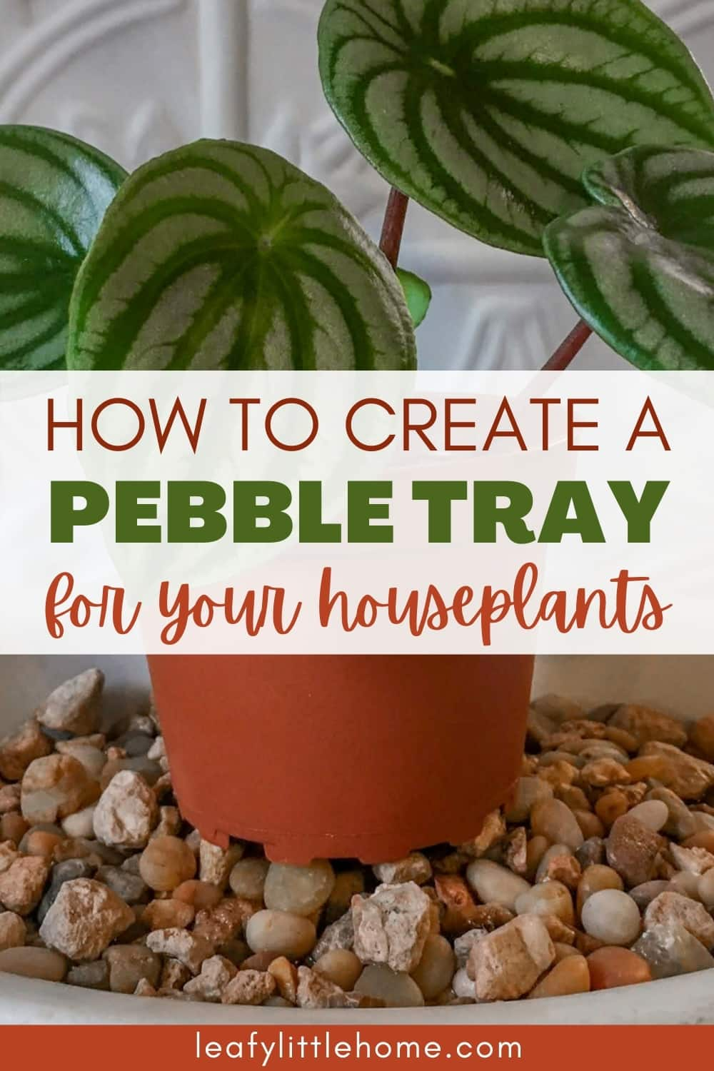 How to Make a Pebble Tray for Plants - The Leafy Little Home