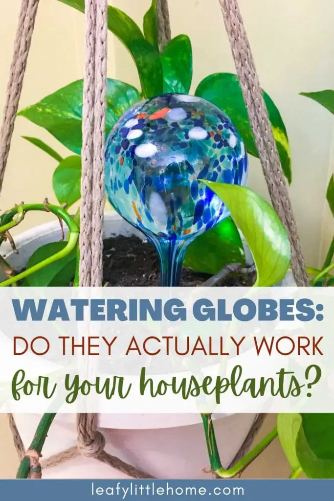 image of a watering globe and a plant with the text Watering Globes: Do They Actually Work for Your Houseplants