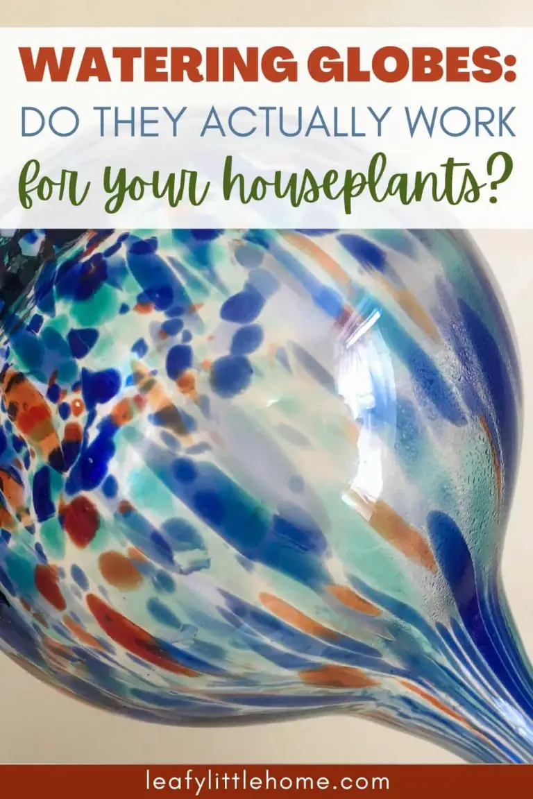 Do Watering Globes Work to Water Your Houseplants? The Leafy Little Home