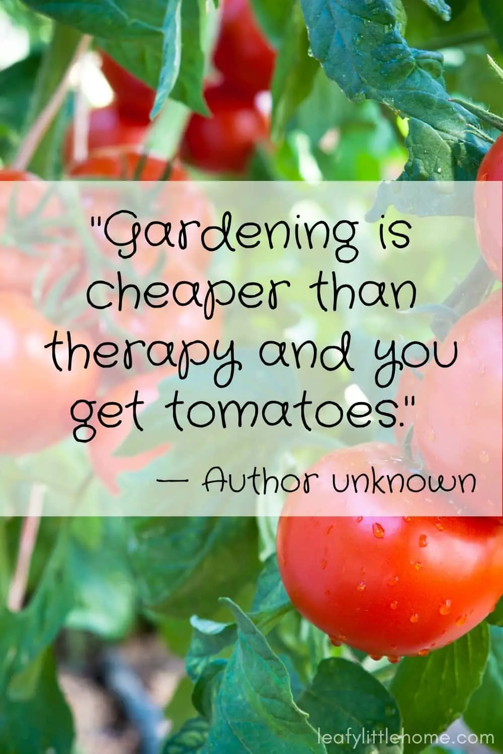 27 Inspirational Gardening Quotes (With Photos) - The Leafy Little Home