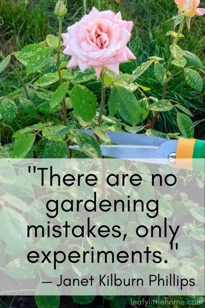 garden tour quotes