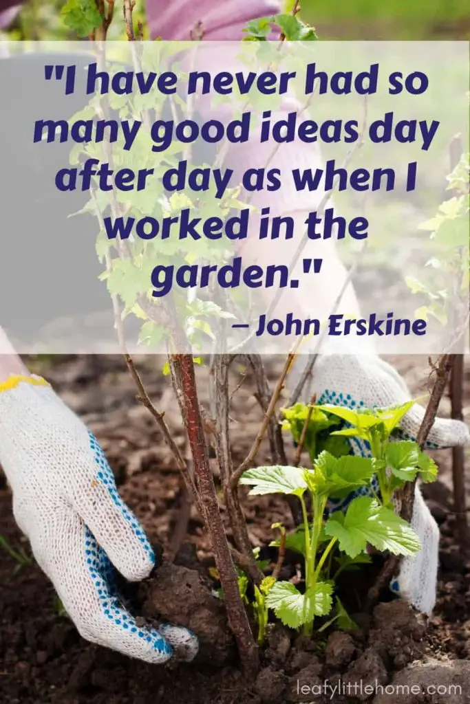 garden tour quotes