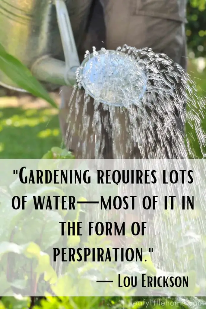 garden tour quotes