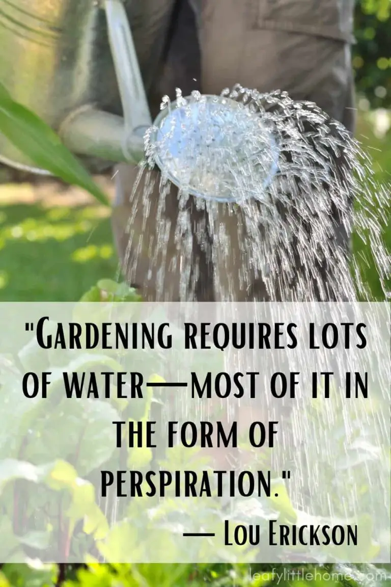 27 Inspirational Gardening Quotes (With Photos) - The Leafy Little Home