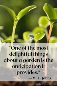 27 Inspirational Gardening Quotes (with Photos) - The Leafy Little Home