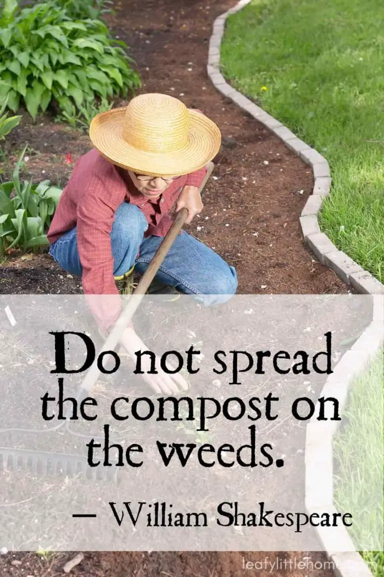 27 Inspirational Gardening Quotes (With Photos) The Leafy Little Home