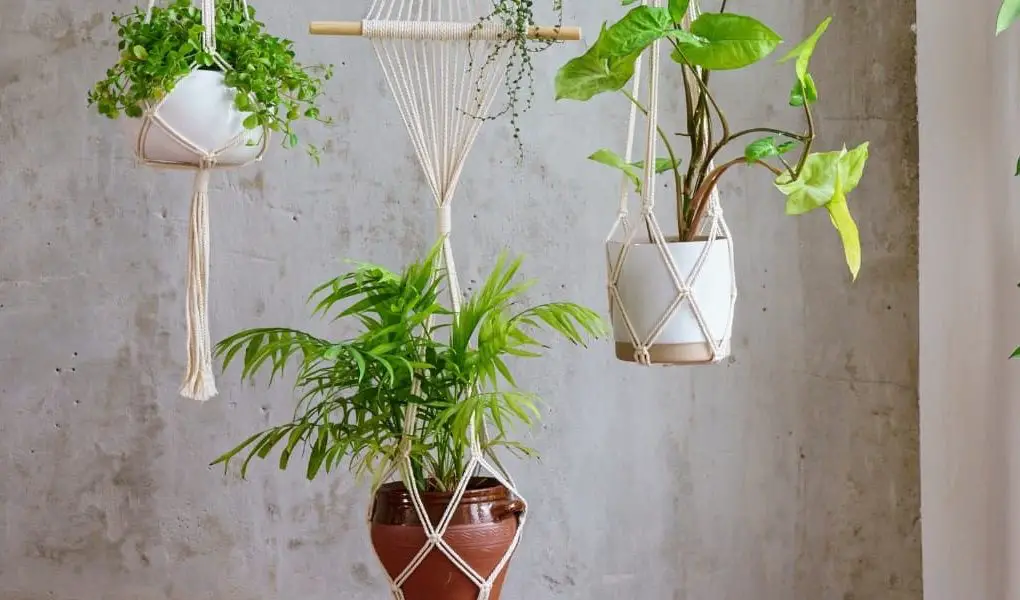 Image of planters with hangers made from Basic Macramé Knots