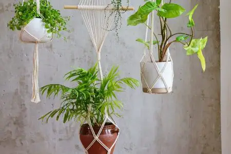 Image of planters with hangers made from Basic Macramé Knots